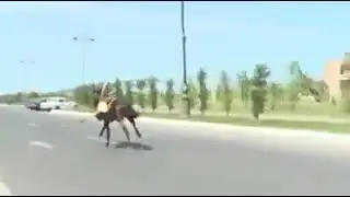 Тоғыз жасар Қазақтың қызы.