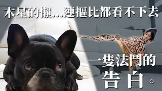 我的廢物媽媽！！一隻法鬥的告白。｜木星小宇宙 #懶人必備 #LG