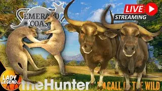 Special Collab Stream with @ScarecrowTheHunter in EMERALD COAST!!!  LIVE with Lady!!!