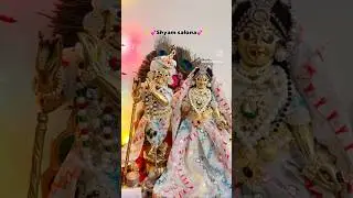 Shyam salona