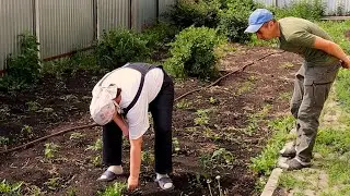 НЕНАВИЖУ ОГОРОД😡 А МУЖ  ЗАСТАВЛЯЕТ БЕРЕМЕННУЮ.!!!!!!
