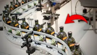 🫒 ¿CÓMO se FABRICA el ACEITE de OLIVA? 🥫