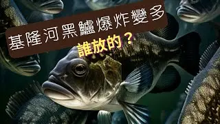 聽說是ＸＸＸ放的魚？隨便都可以看到黑鱸游來游去 ...