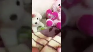 #юмор #поржать #здох #я