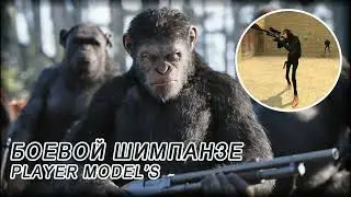 Скин игрока  Шемпанзе для css v34