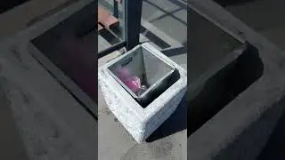 Типичный Петербург