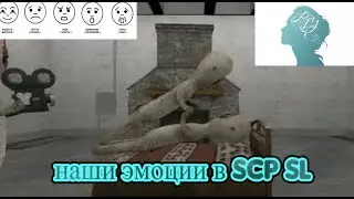 Как наши эмоции влияют на игру в SCP Secret Labaratory
