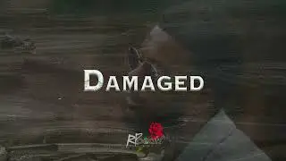 (FREE) Idaly x Cho x Jonna Fraser Type Beat 2024 - ''Damaged'' - 