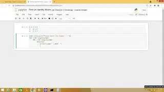 Python Program Print an identity Matrix