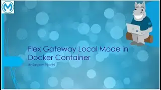 Flex Gateway Part II - Deploy in Docker (Local Mode) and secure single and multiple Spring Boot APIs