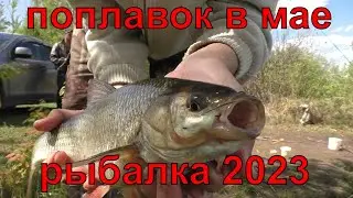 3 минуты борьбы и трофей на берегу ,рыбалка на поплавок в мае 2023