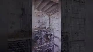 12 августа 2024 г.