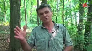 Fajko Kadrić - Svjedok Genocida