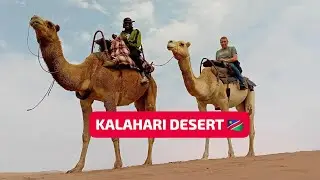 NEW EXPERIENCE || RIDING A CAMEL 🐪🇳🇦