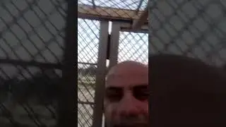 Lion Safari Park Lahore