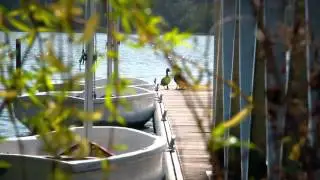 Ile de loisirs de St-Quentin en Yvelines – vidéo entreprise team Building