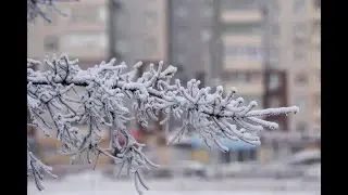 цитаты на туркменском