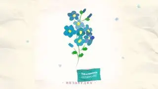 ТИМА БЕЛОРУССКИХ - НЕЗАБУДКА [Скачать песню в описании]