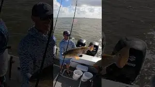 Doubled Up! | Galveston Redfish #fishing #redfish #texas