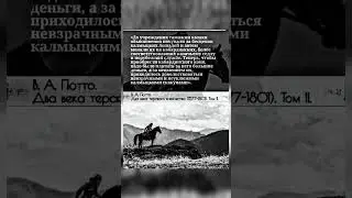 Кабардинская порода лошадей | Черкесия