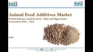 Animal Feed Additives Market Analysis | Future Market Insights