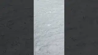1 мая 2024г.Ждем охоты на водоплавающих 🧐
