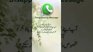 Whatsapp Disappearing Message