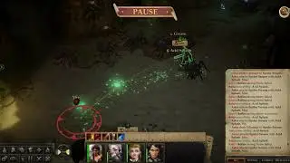 Pathfinder Kingmaker: 2 Spider Swarms