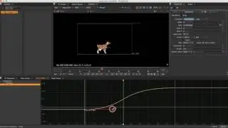 Nuke basic animation and Curve
