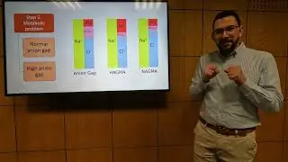 Interpretation of Arterial Blood Gases - Ahmed Elnahhas