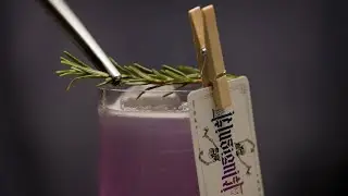 The Illusionist Dry Gin   Rosemary Fizz