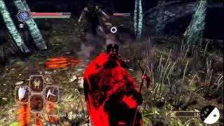 Dark Souls II Beta-PVP