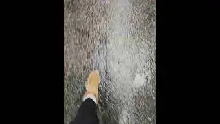 Rain Walking in the Middle of Autumn, Vancouver, Canada, BC, asmr