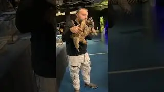 Костя фоткается с экзотический моделью