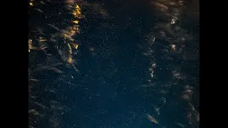 Chapter One - Genesis