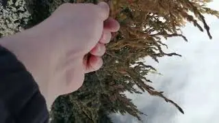 ПОЛОЖЕНИЕ В САДУ НА 19.03.24 г.