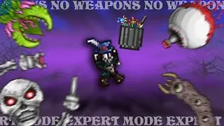 How to Pacifist Terraria