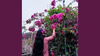 Bol Gati Tandi football lover santhali song