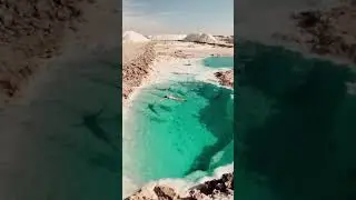 красота