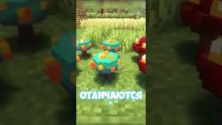 Шикарный 3Д Ресурспак! | 46 | Ванильная Эстетика 
