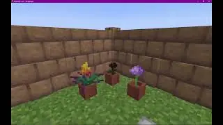 My house