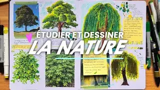 Étudier et dessiner la nature 🌳 | Sketchbook study