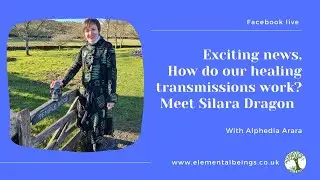 Meet Silara Dragon; how our healing energy transmissions work; hear Alphedia's exciting news!