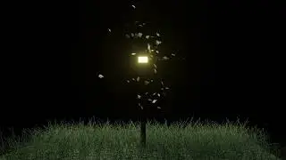 MOTH simulation in blender