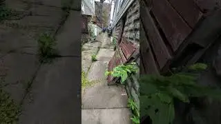 checking leak