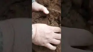 бонус в каске