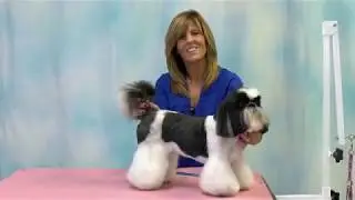 Online Seminar: Shih Tzu Grooming, Learn An Asian Inspired Trim