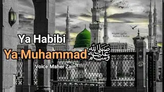 Ya Habibi Ya Muhammad (SAW)|TheMost Beautiful Nasheed |No Music |Vocals only