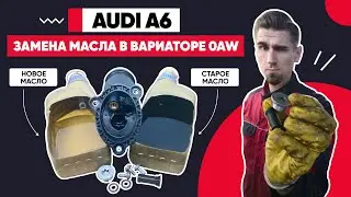 ЗАМЕНА МАСЛА В ВАРИАТОРЕ 0AW. ЗАМЕНА МАСЛА ФИЛЬТРОВ ВАРИАТОРЕ. ВАРИАТОР CVT 0AW Multitronic VL-381.