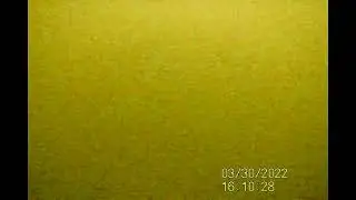 Рыбалка с Calipso 30 марта